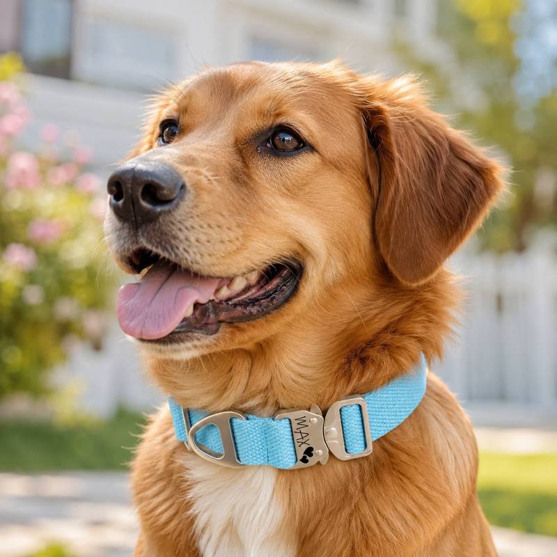 Kalung Anjing Taktis Kustom -  - Outdoor Adventure Names ulasan dan harga